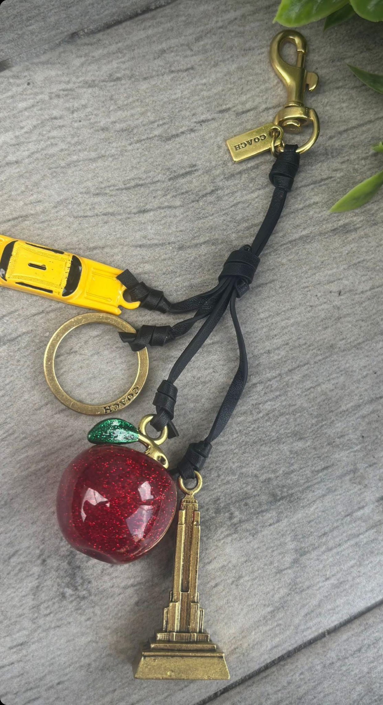 Apple NY key ring